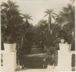 Vista dos jardins a partir do Solar Grandjean de Montigny. c. 1930. Fotógrafo desconhecido. Acervo Solar Grandjean de Montigny.